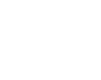 Logo RASEIR SA DE CV